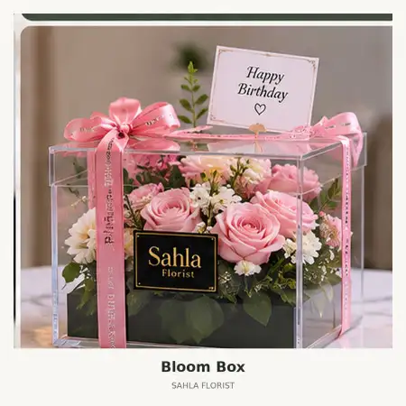 Bloom Box Pulau Morotai